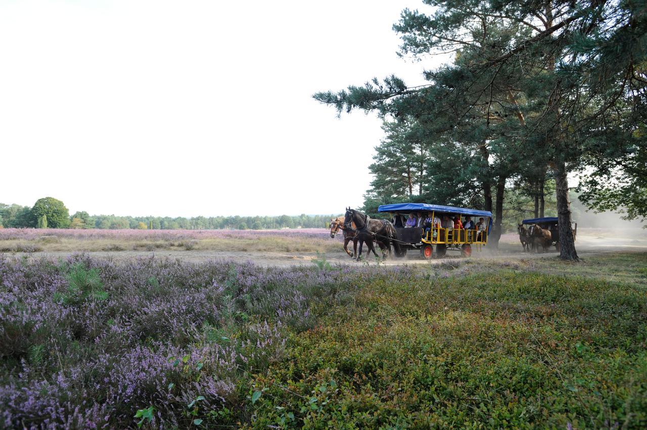 Eurostrand Resort Lueneburger Heide Fintel Dış mekan fotoğraf